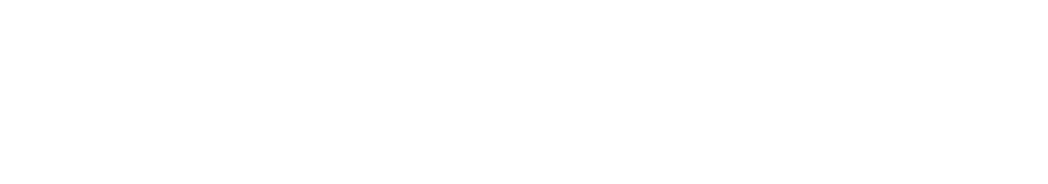 Feature article
